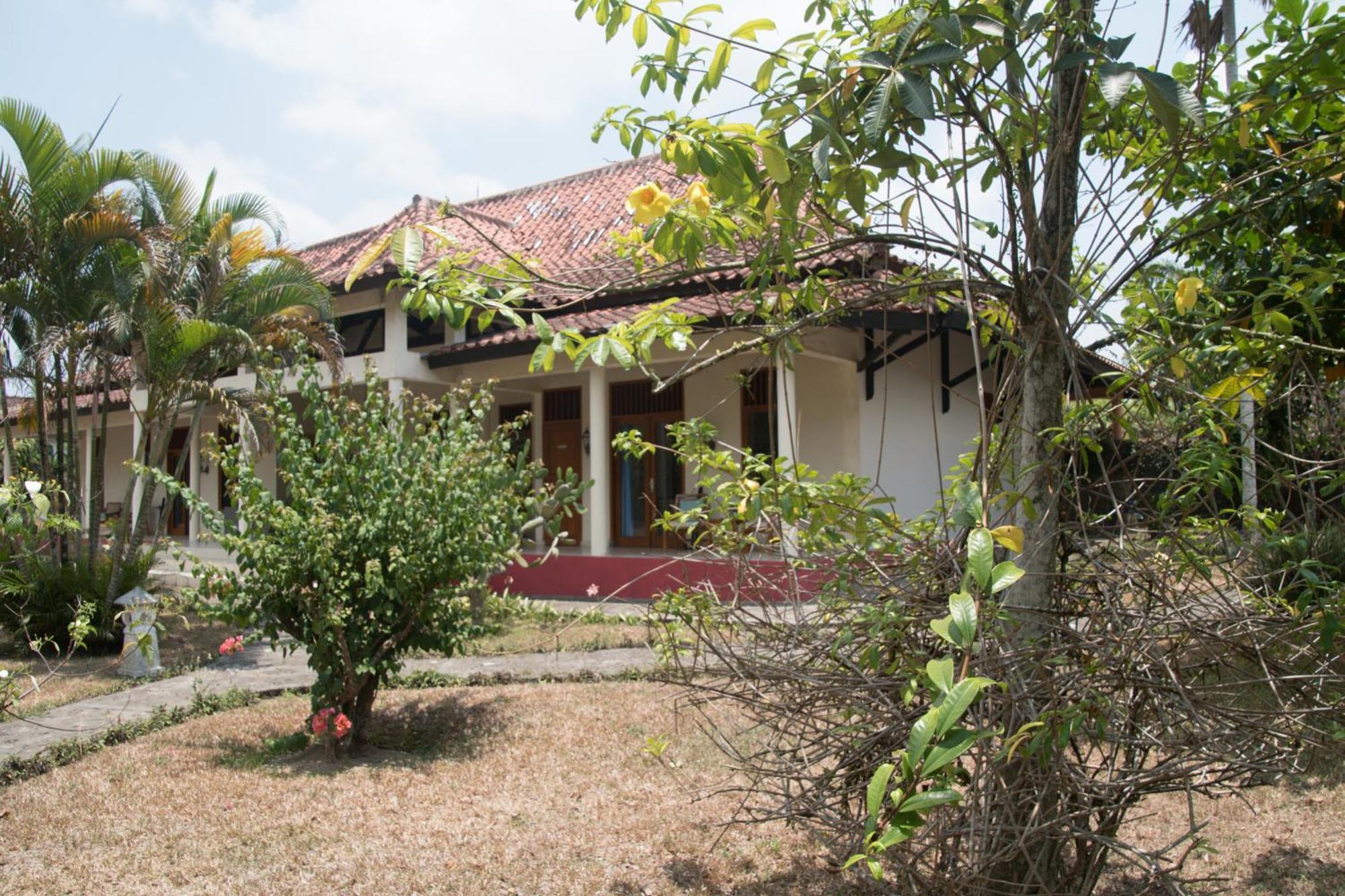 Guesthouse Rumah Senang Kalibaru エクステリア 写真