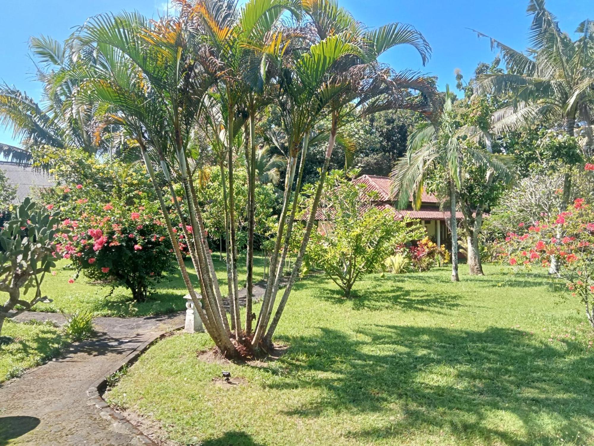 Guesthouse Rumah Senang Kalibaru エクステリア 写真