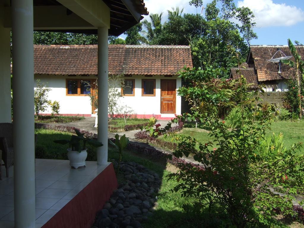 Guesthouse Rumah Senang Kalibaru エクステリア 写真
