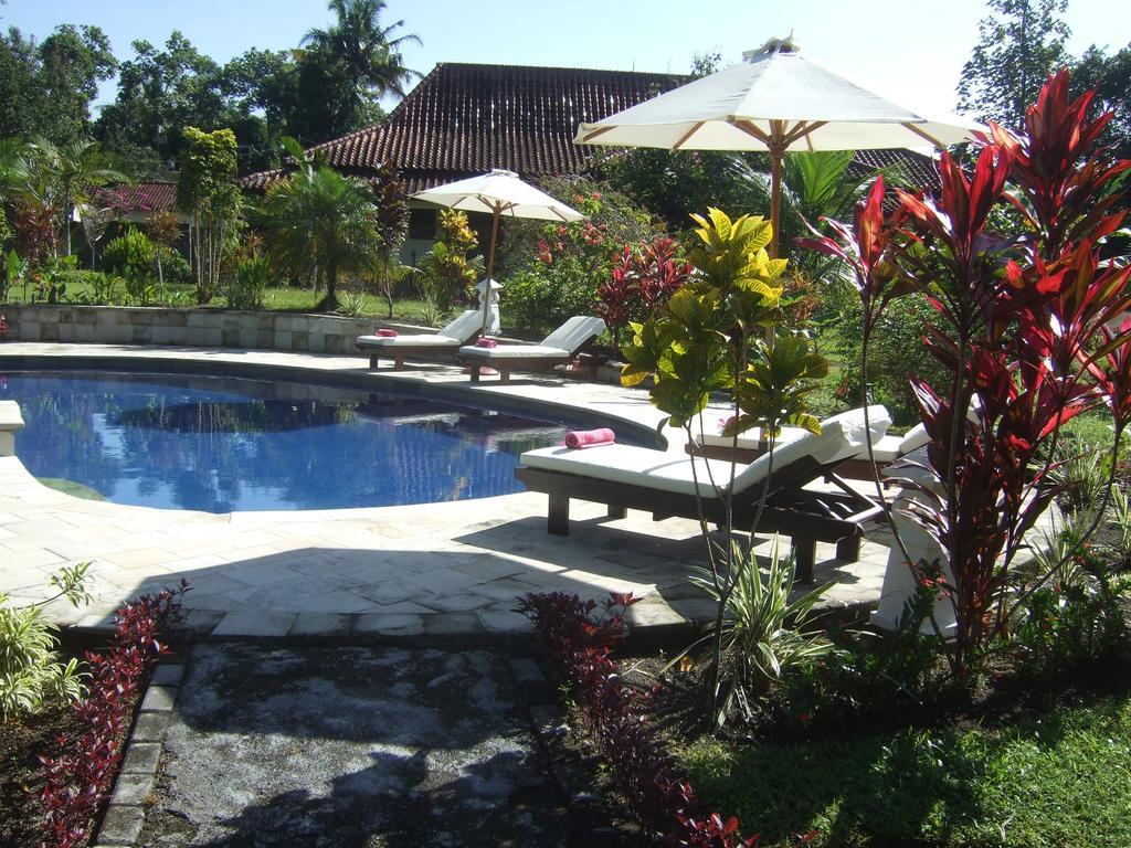Guesthouse Rumah Senang Kalibaru エクステリア 写真