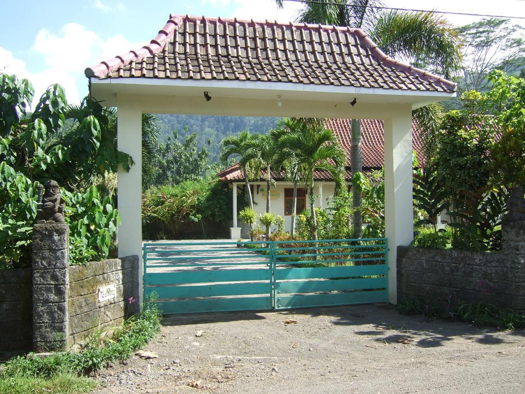 Guesthouse Rumah Senang Kalibaru エクステリア 写真
