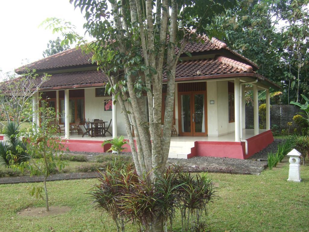 Guesthouse Rumah Senang Kalibaru エクステリア 写真