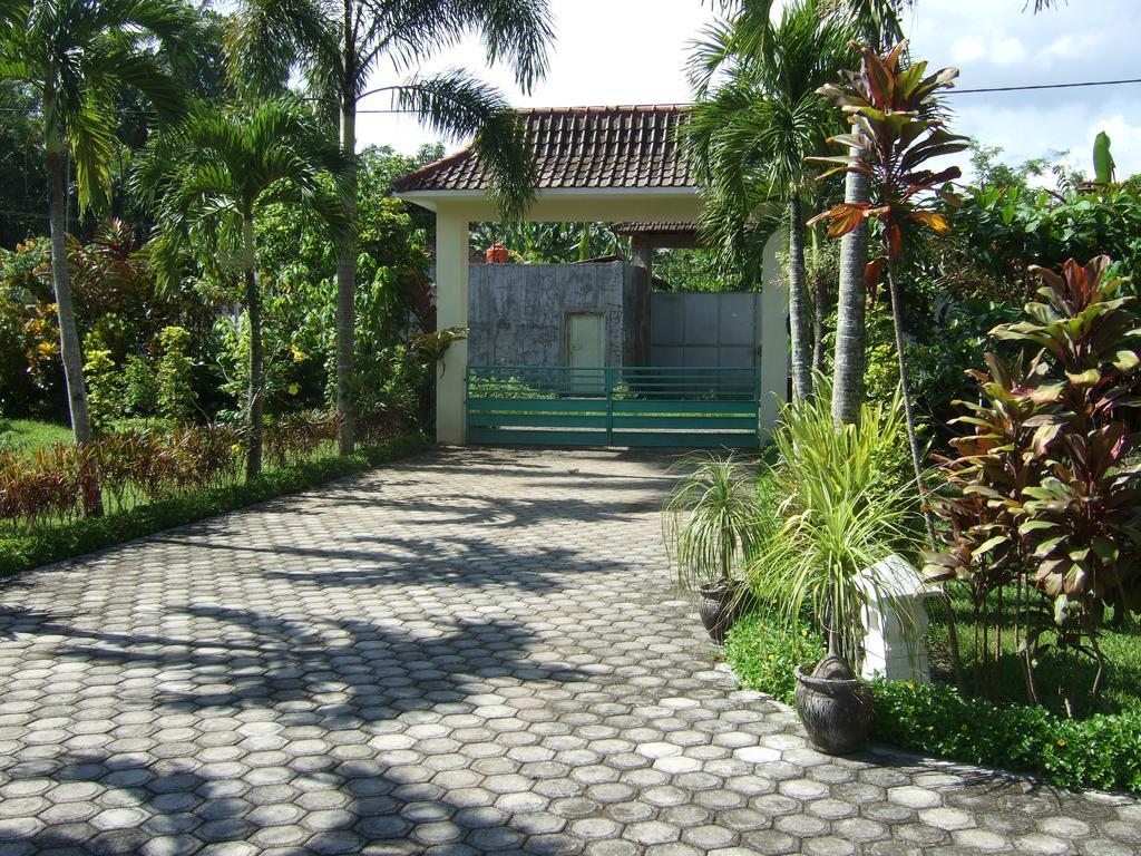 Guesthouse Rumah Senang Kalibaru エクステリア 写真