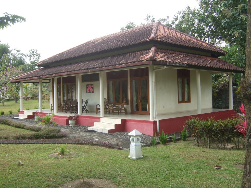 Guesthouse Rumah Senang Kalibaru エクステリア 写真